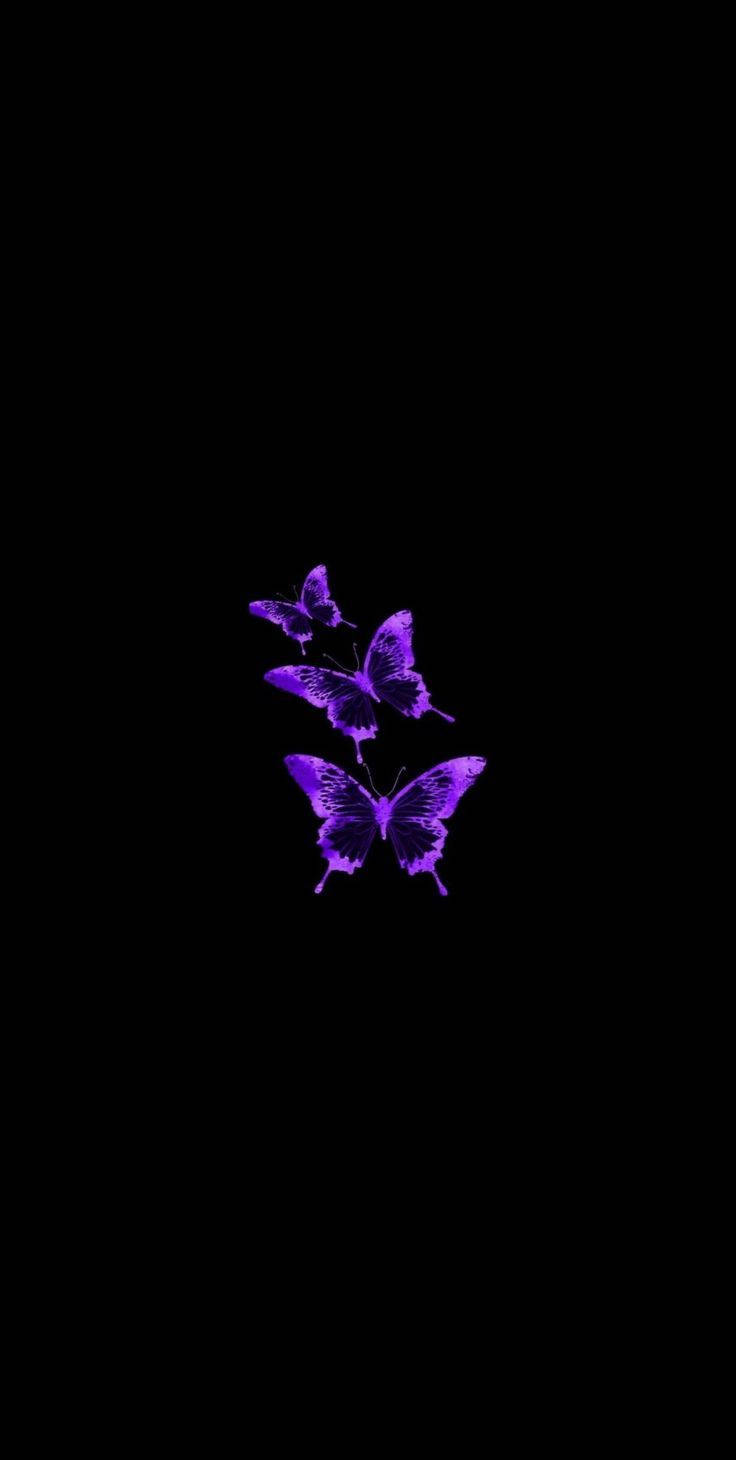 Download Butterflies On Black And Purple Phone Wallpaper 