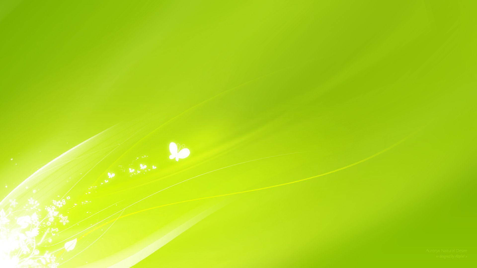 Butterflies On Super Light Green Wallpaper