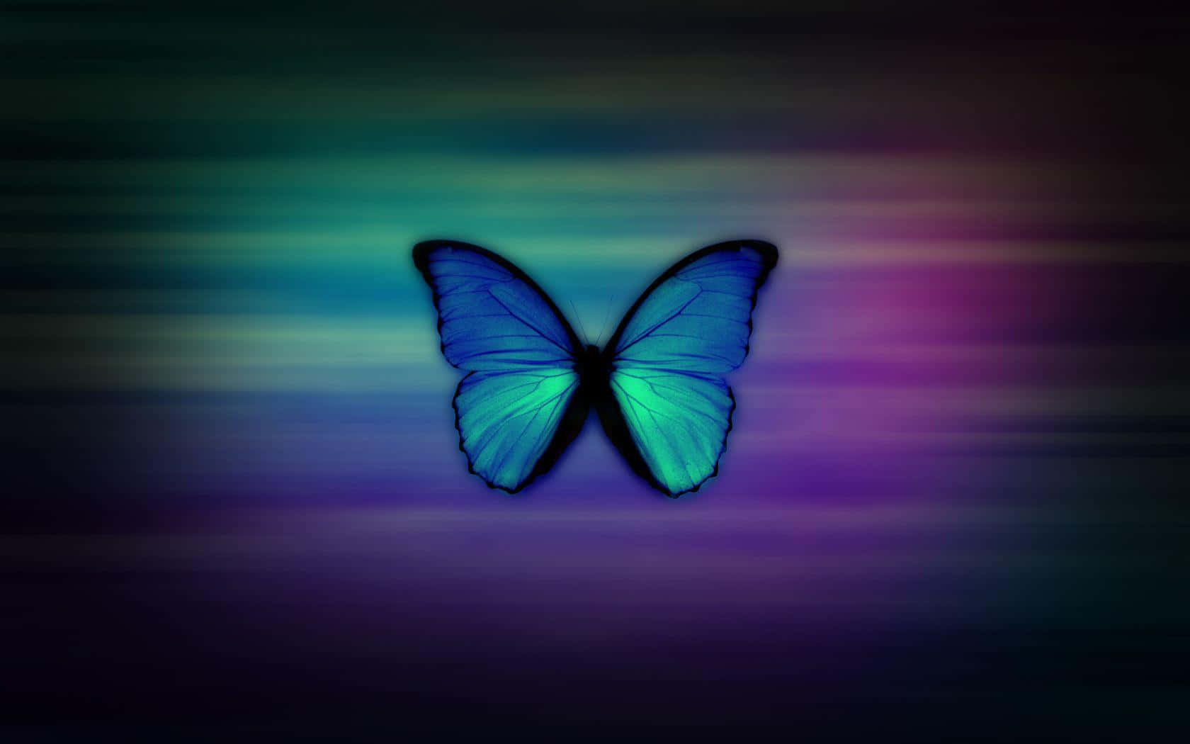 Färggladafjärilar I Naturen.
