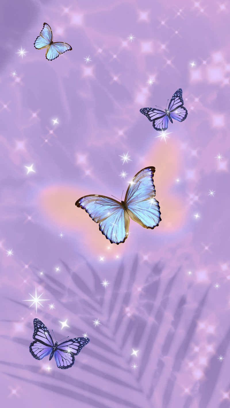 Butterfliesand Starson Purple Backdrop.jpg Wallpaper