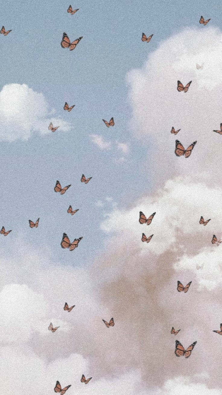 Butterfliesin Cloudy Sky Softie Aesthetic Wallpaper