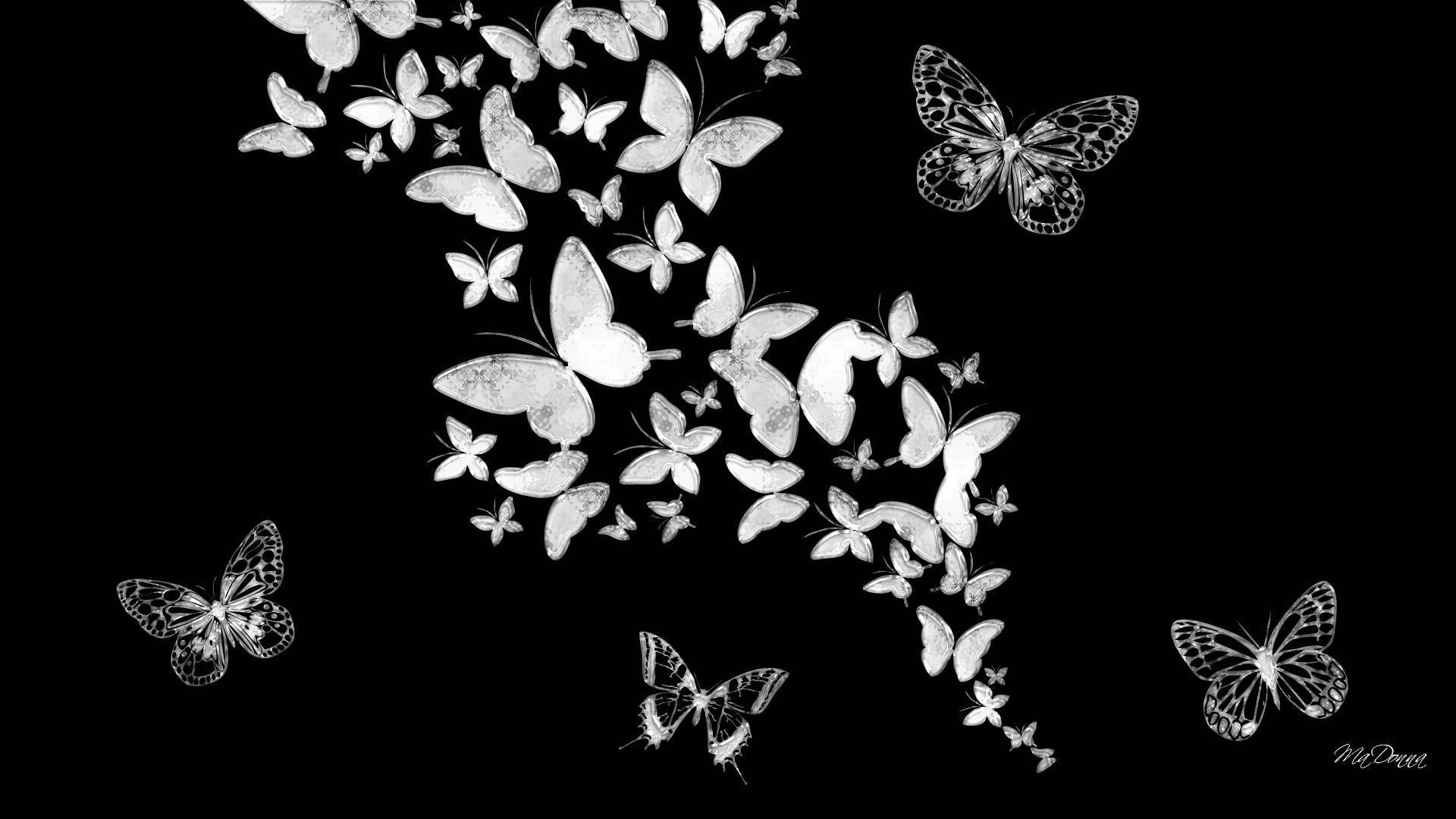 Butterfly Aesthetic Black Art Wallpaper