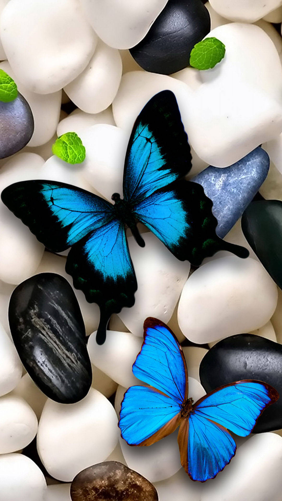 Butterfly Aesthetic On White Stones Wallpaper