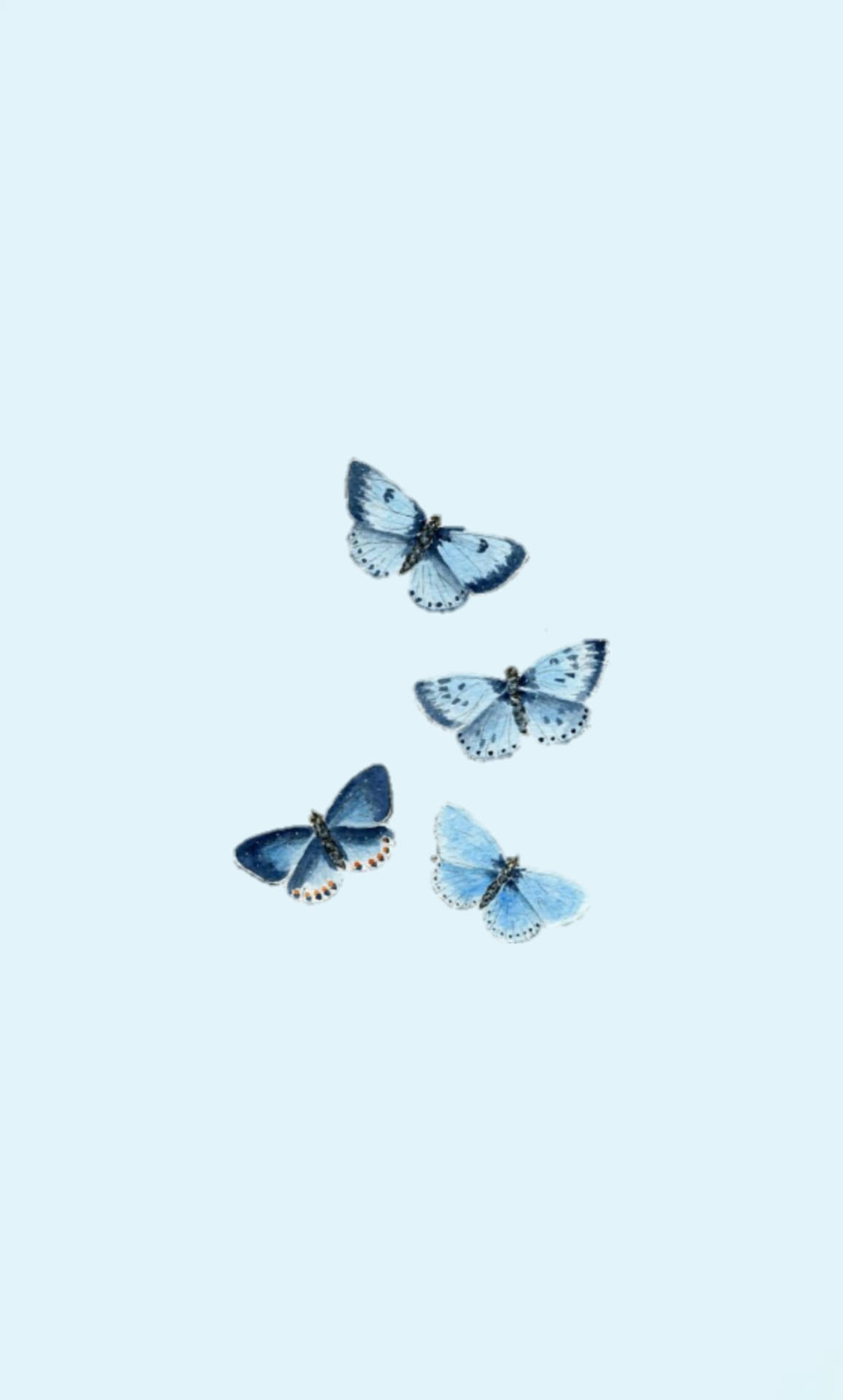 Butterfly Aesthetic Powder Blue Wings Wallpaper