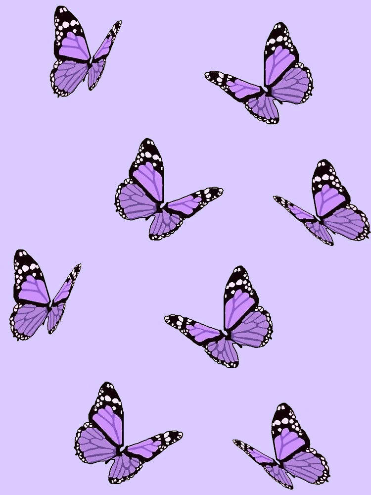 Schmetterlinge,ästhetisch, Lila, Iphone. Wallpaper