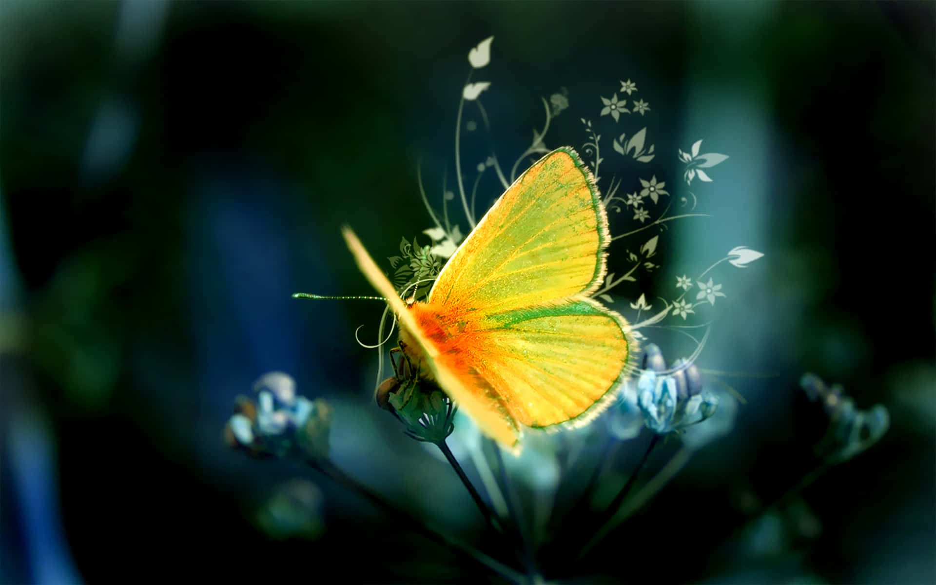 Colorful and Captivating Butterfly Art Wallpaper