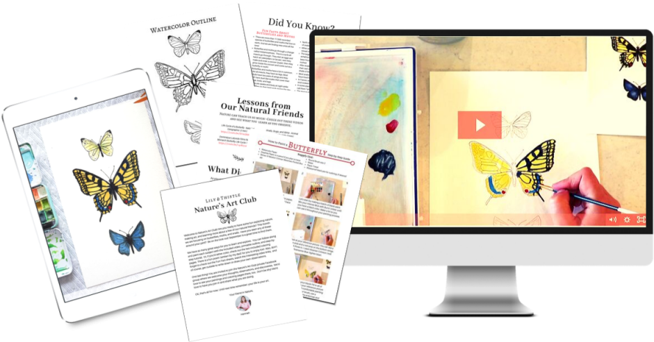 Butterfly Art Project Workspace PNG