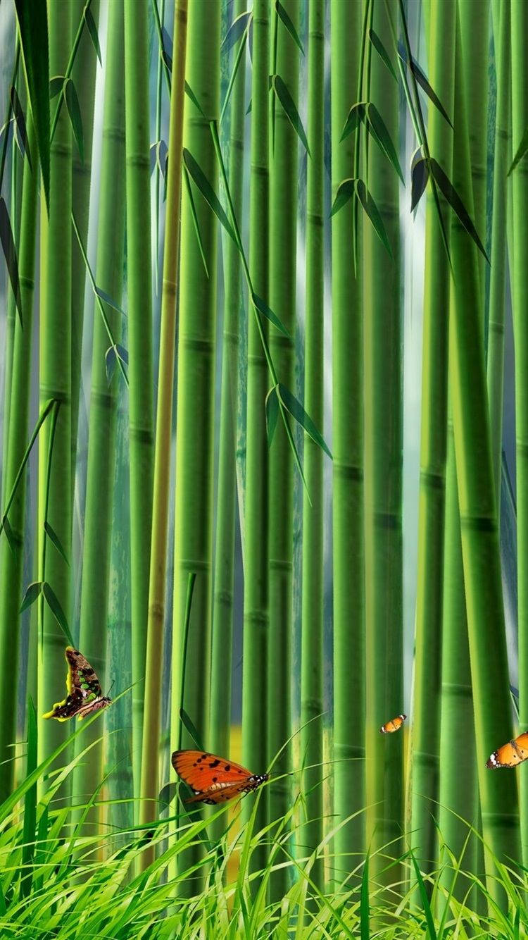 Mariposaen Un Bosque De Bambú Para Iphone. Fondo de pantalla
