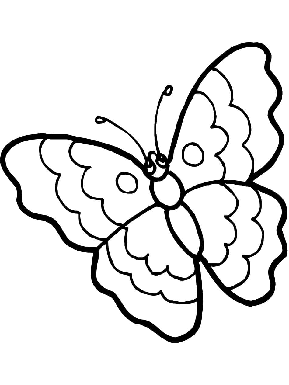 Let Your Imagination Fly with Butterfly Coloring Pages! Wallpaper