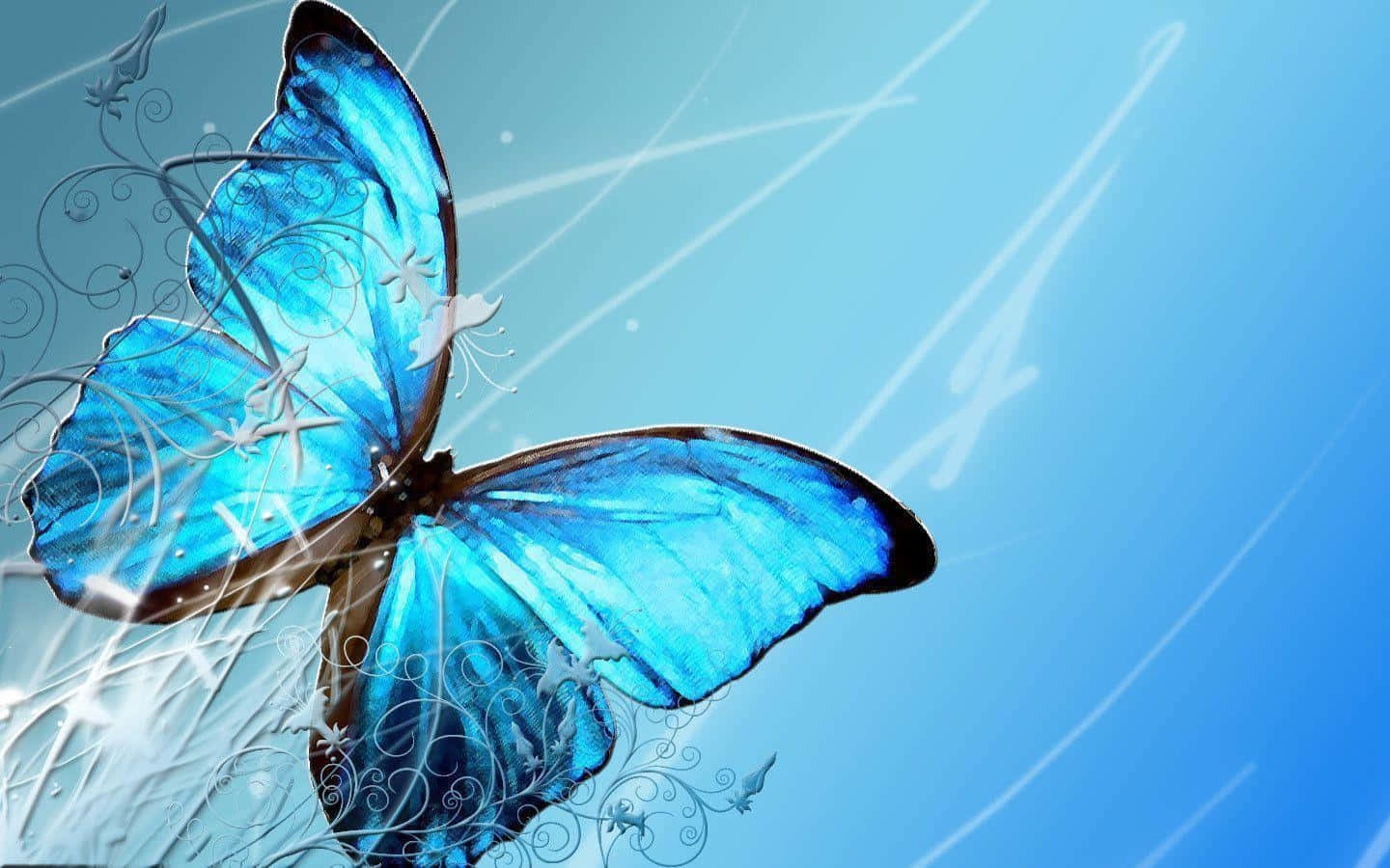 Morpho Butterfly Desktop Wallpaper