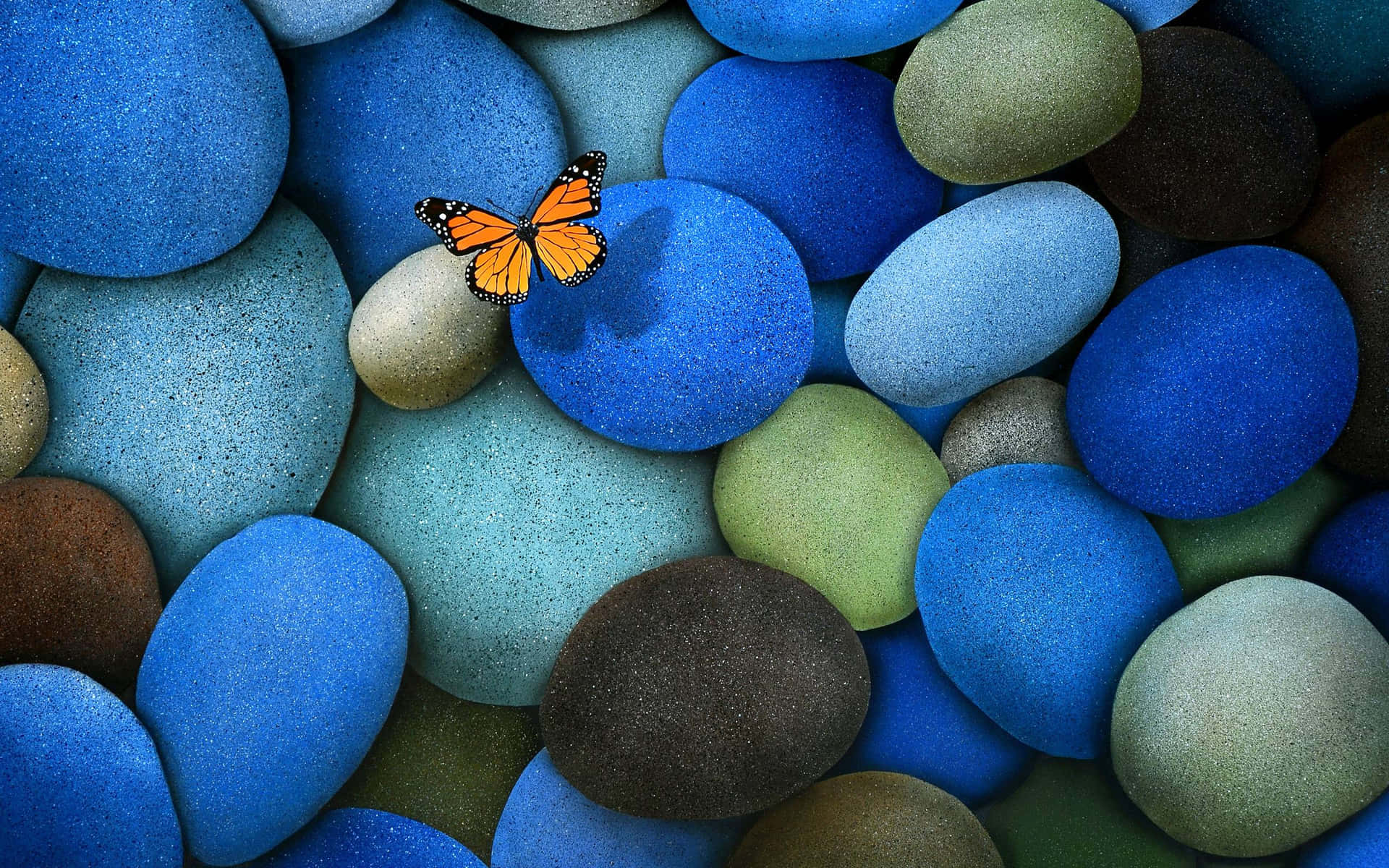 Schmetterlingauf Blauen Kieselsteinen Für Den Desktop. Wallpaper