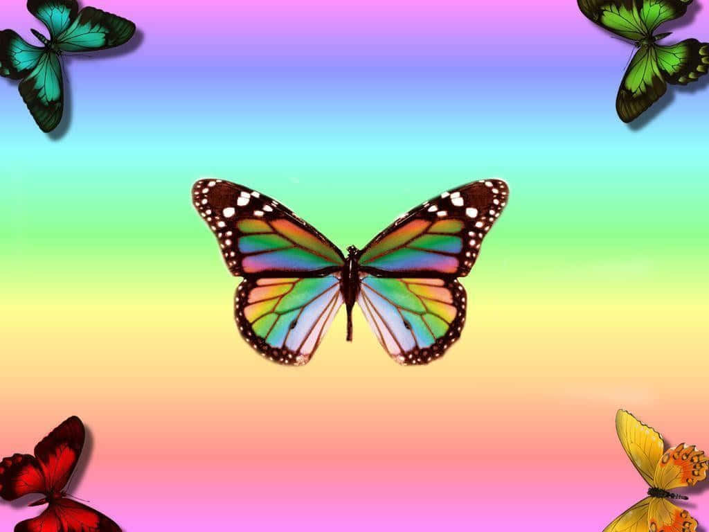 Butterfly Skrivebord 1024 X 768 Wallpaper