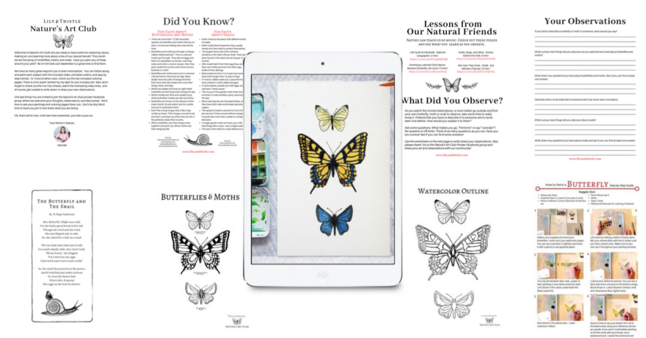 Butterfly Education Material Collage PNG