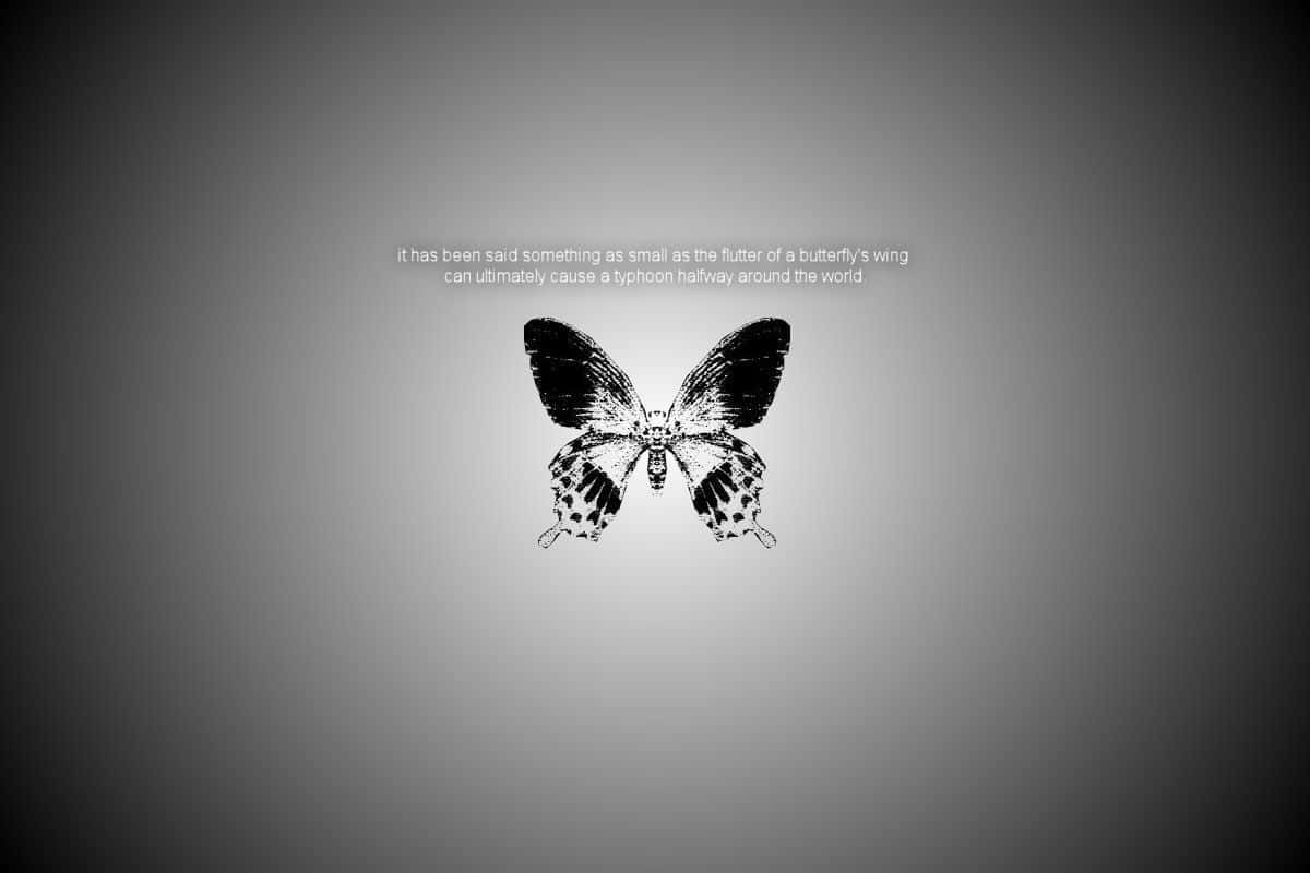 Capturing the Butterfly Effect Wallpaper