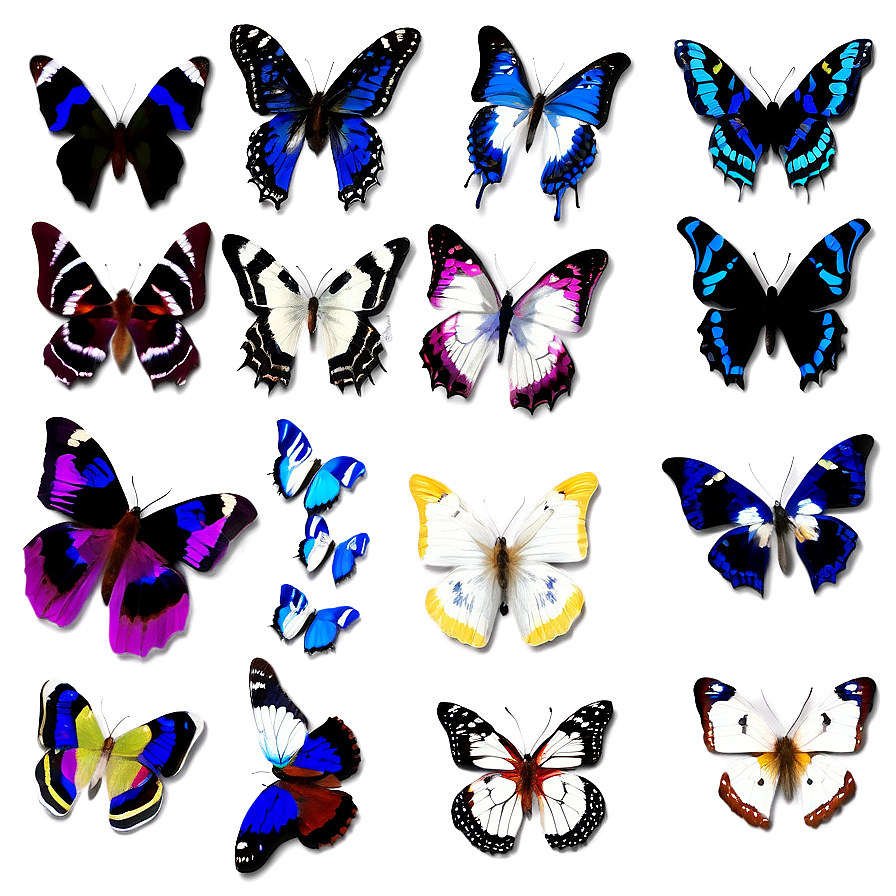 Butterfly Flock Swarm Png Ggh PNG
