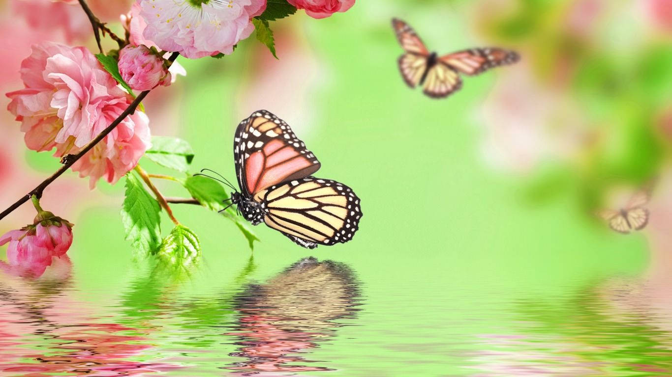Colourful Butterfly on a Sunny Summer Day Wallpaper