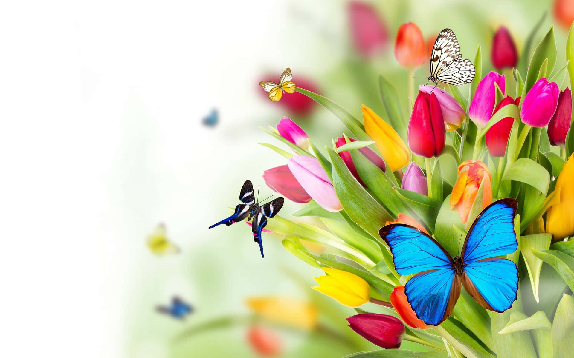 Enjoy the vibrant colors of Butterflies in this Garden Wallpaper