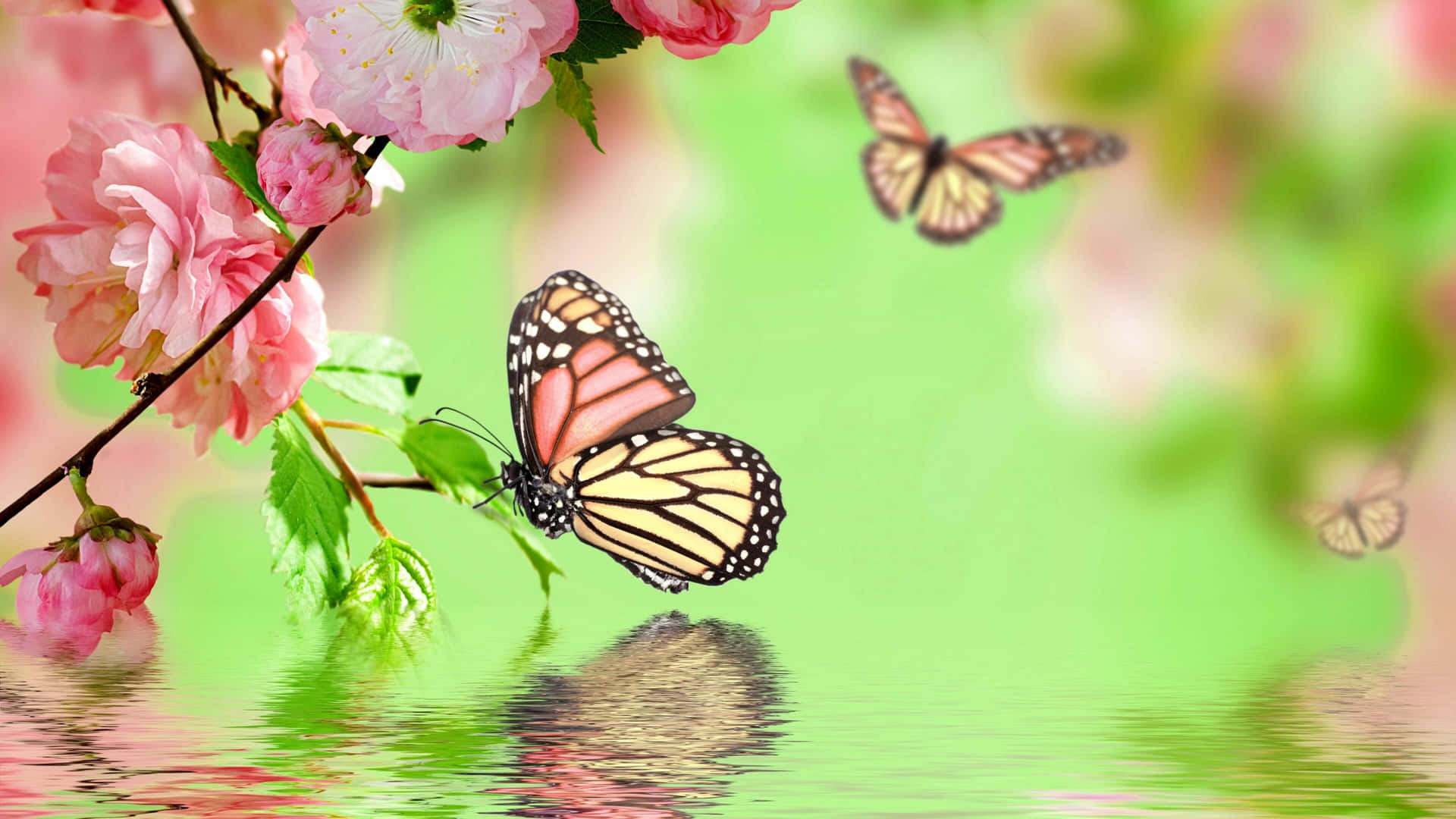 "Beautiful Butterflies in Our Butterfly Garden" Wallpaper