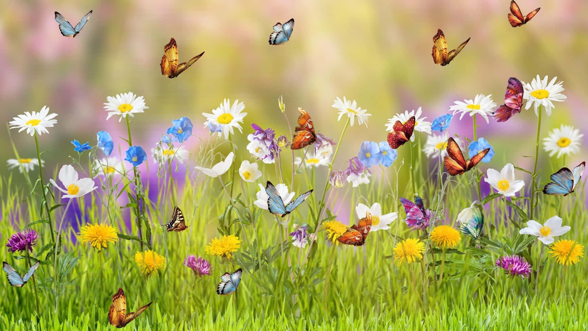 A Butterfly Sitting Amongst in a Garden Full of Colorful Flowers and Plants Wallpaper