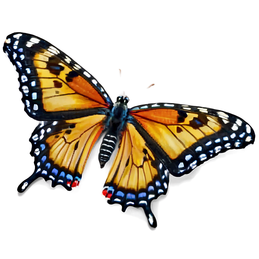 Butterfly In Nature Png 04292024 PNG