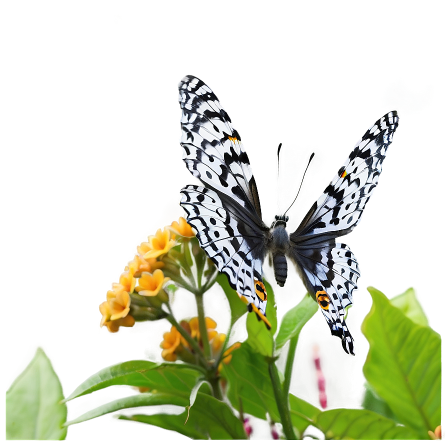 Butterfly In Nature Png Mrd PNG