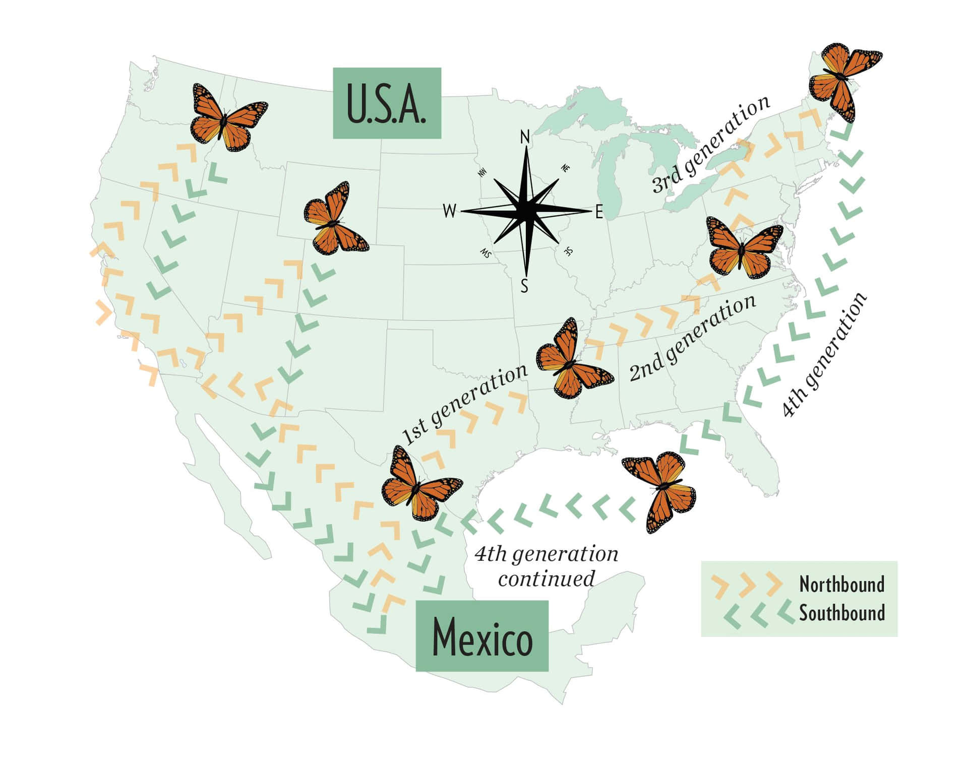 Millions of Butterflies Engaging in Incredible Migration Wallpaper