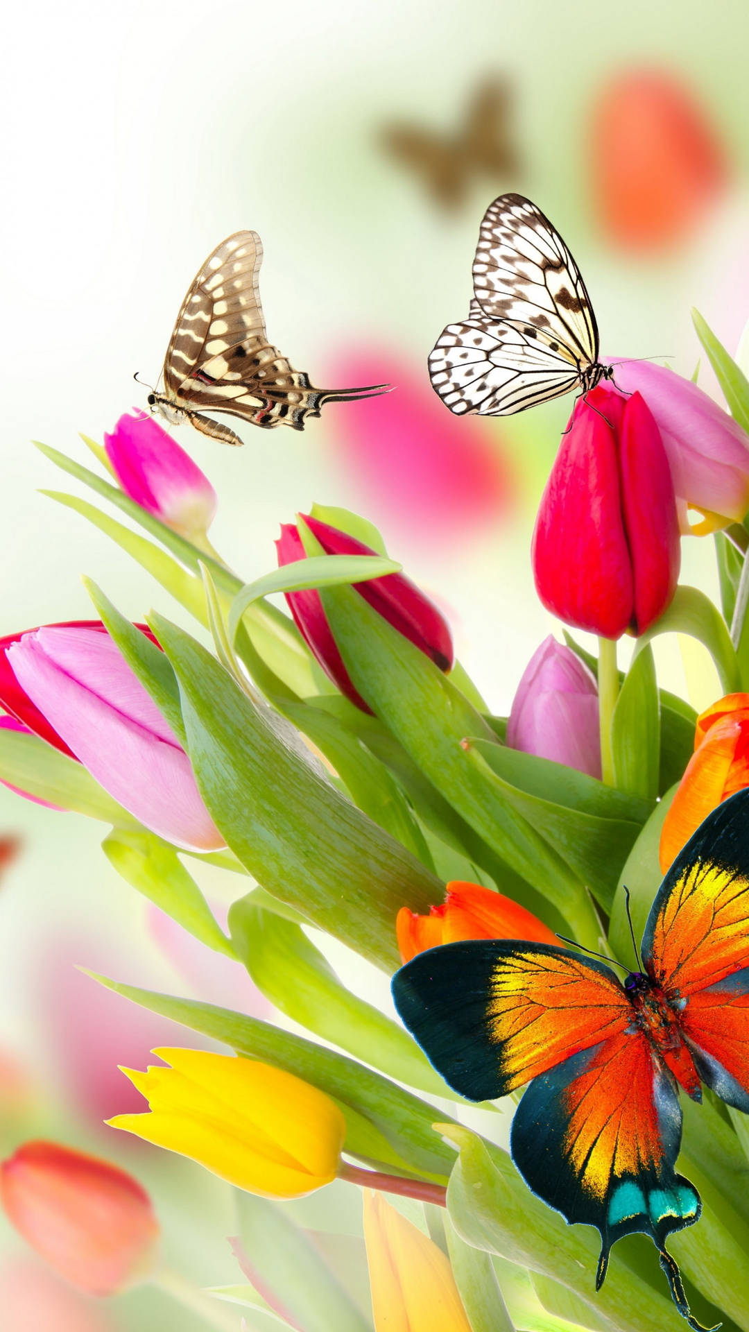 Mariposaen Flores De Tulipanes Fondo de pantalla