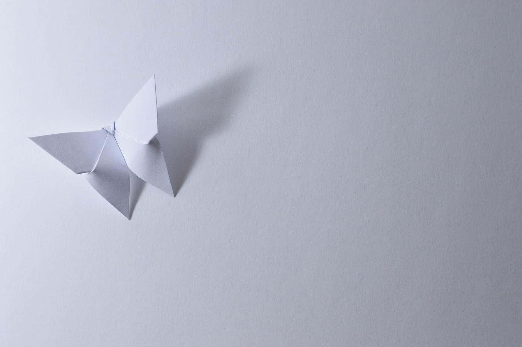 Enjoy the Beauty of Handmade Butterfly Origami Wallpaper