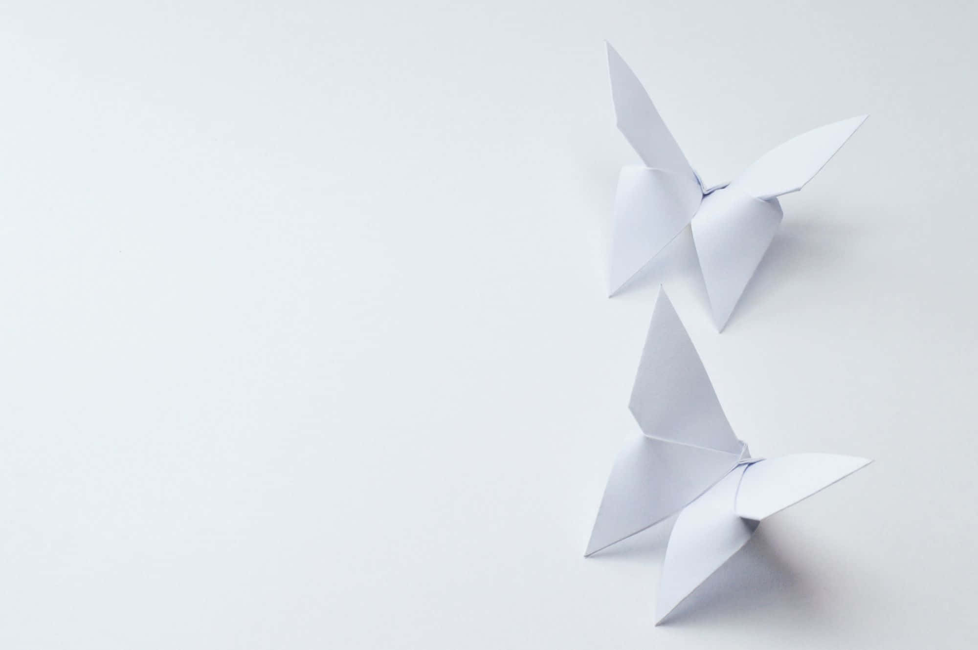 Stunning Origami Butterfly Wallpaper