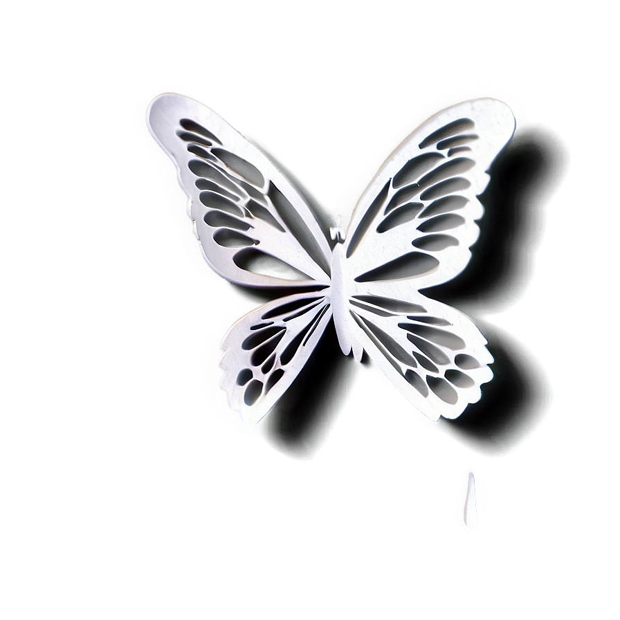 Butterfly Outline Transparent Png 05252024 PNG