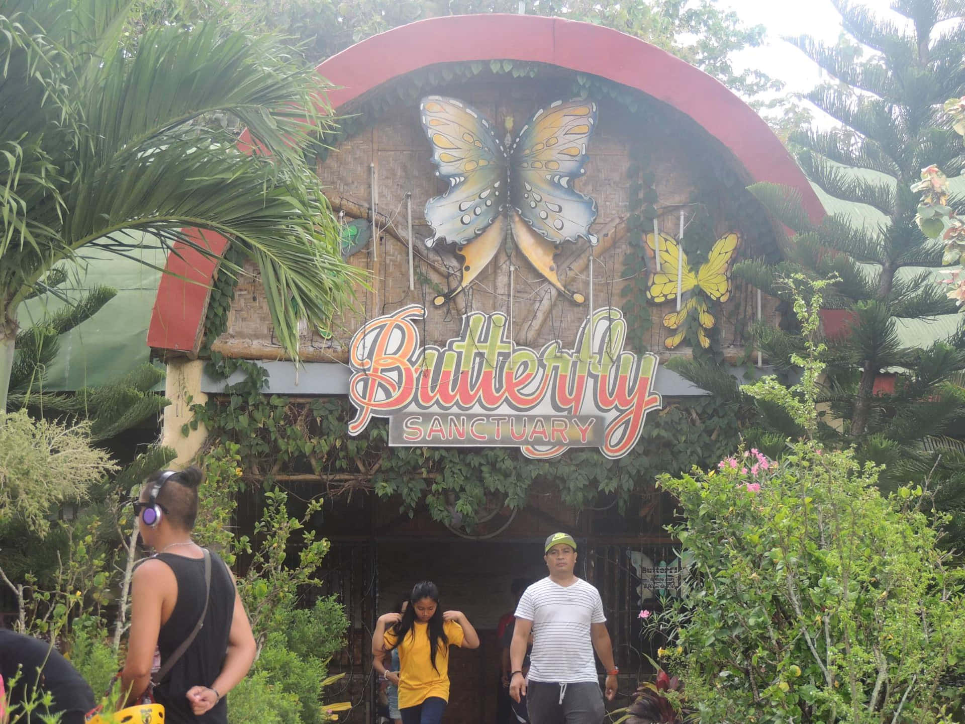 Take a stroll through an enchanted magical butterfly park! Wallpaper