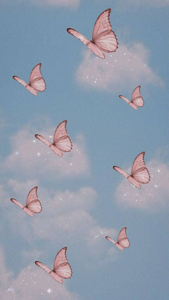 Butterfly Pastel Aesthetic