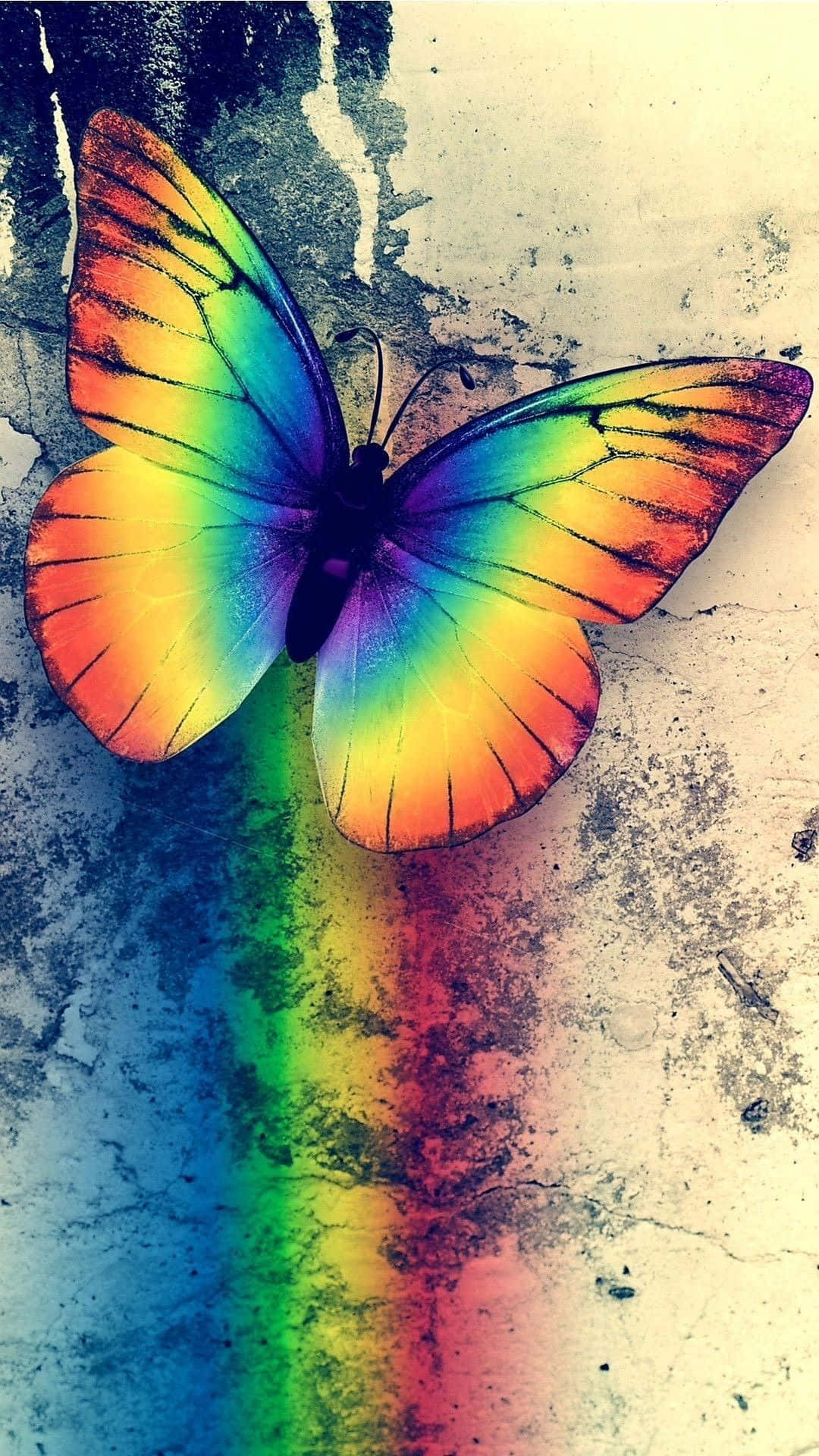A Butterfly With A Rainbow Background