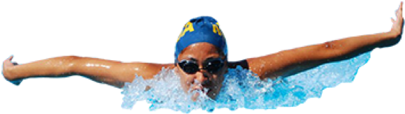Butterfly Stroke Swimmer Action PNG