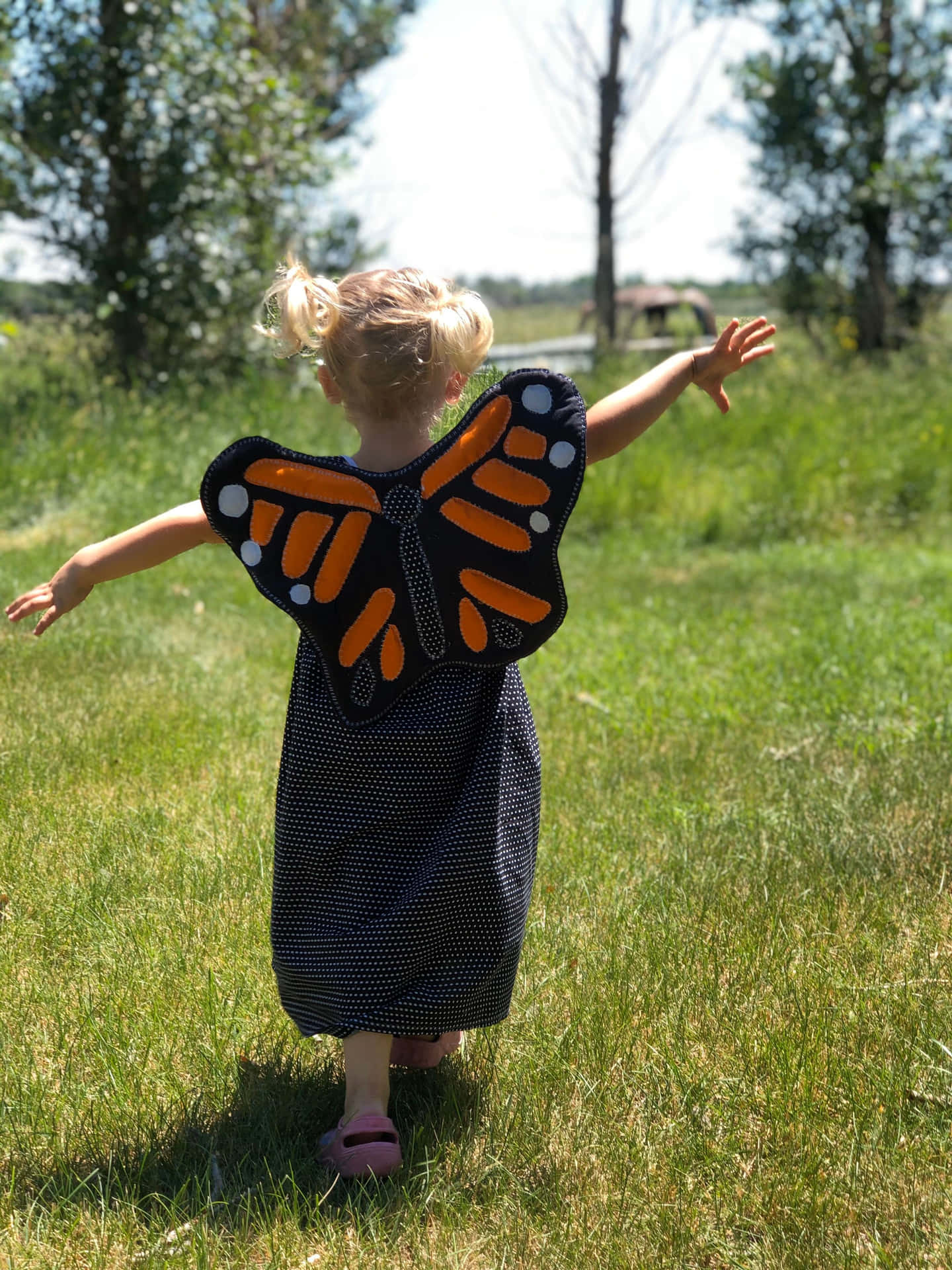 Woman Wearing a Unique Butterfly Wing Dress Wallpaper
