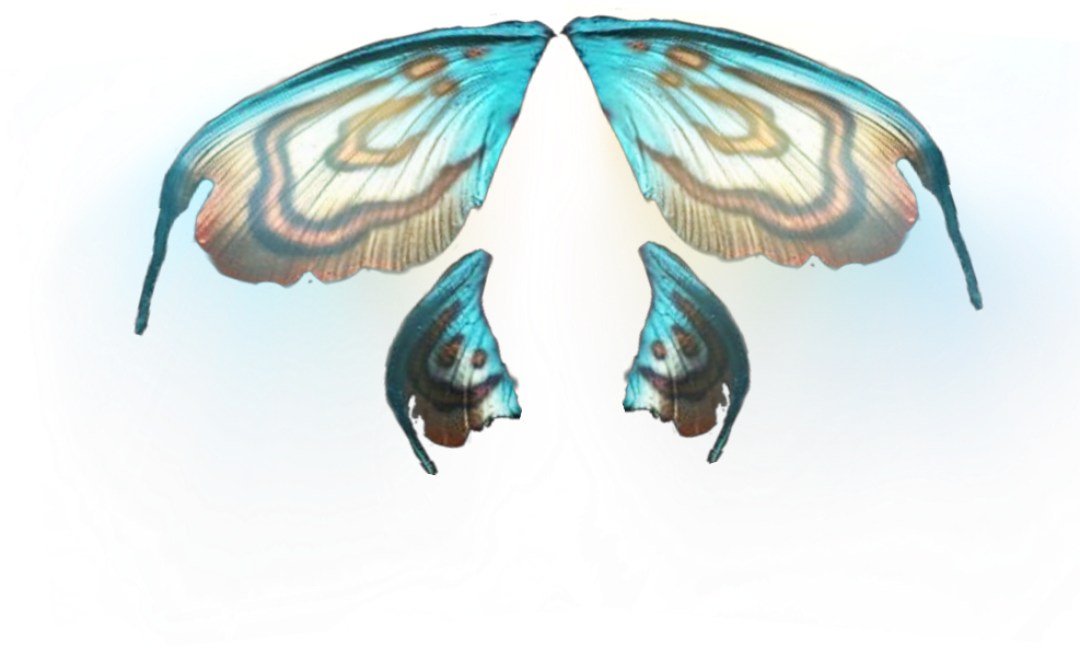 Butterfly Wing Fairy Design PNG
