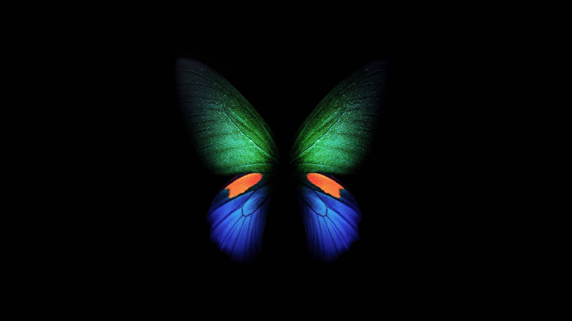 Butterfly Wings 4d Ultra Hd