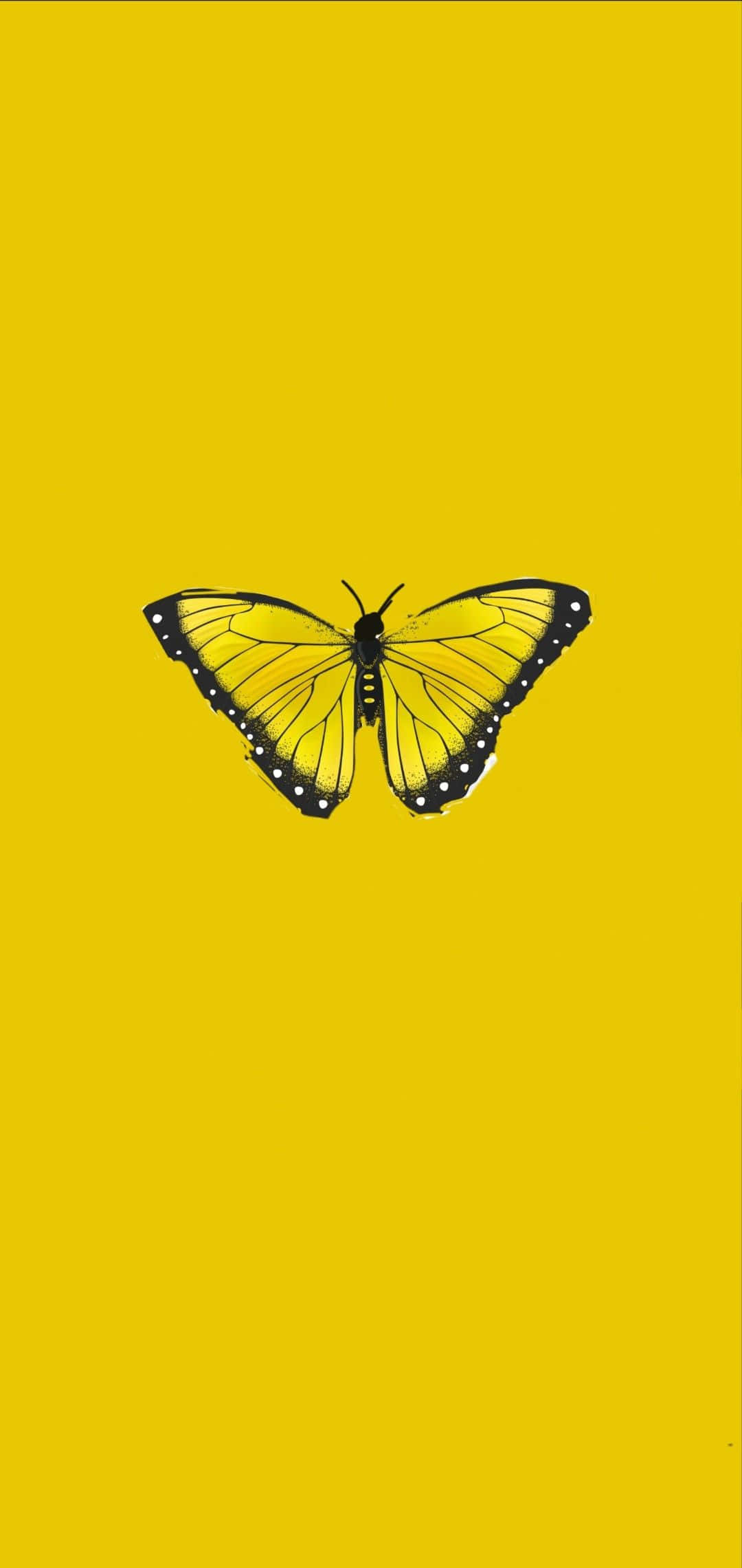 Download Butterfly Yellow 1080 X 2280 Wallpaper Wallpaper | Wallpapers.com