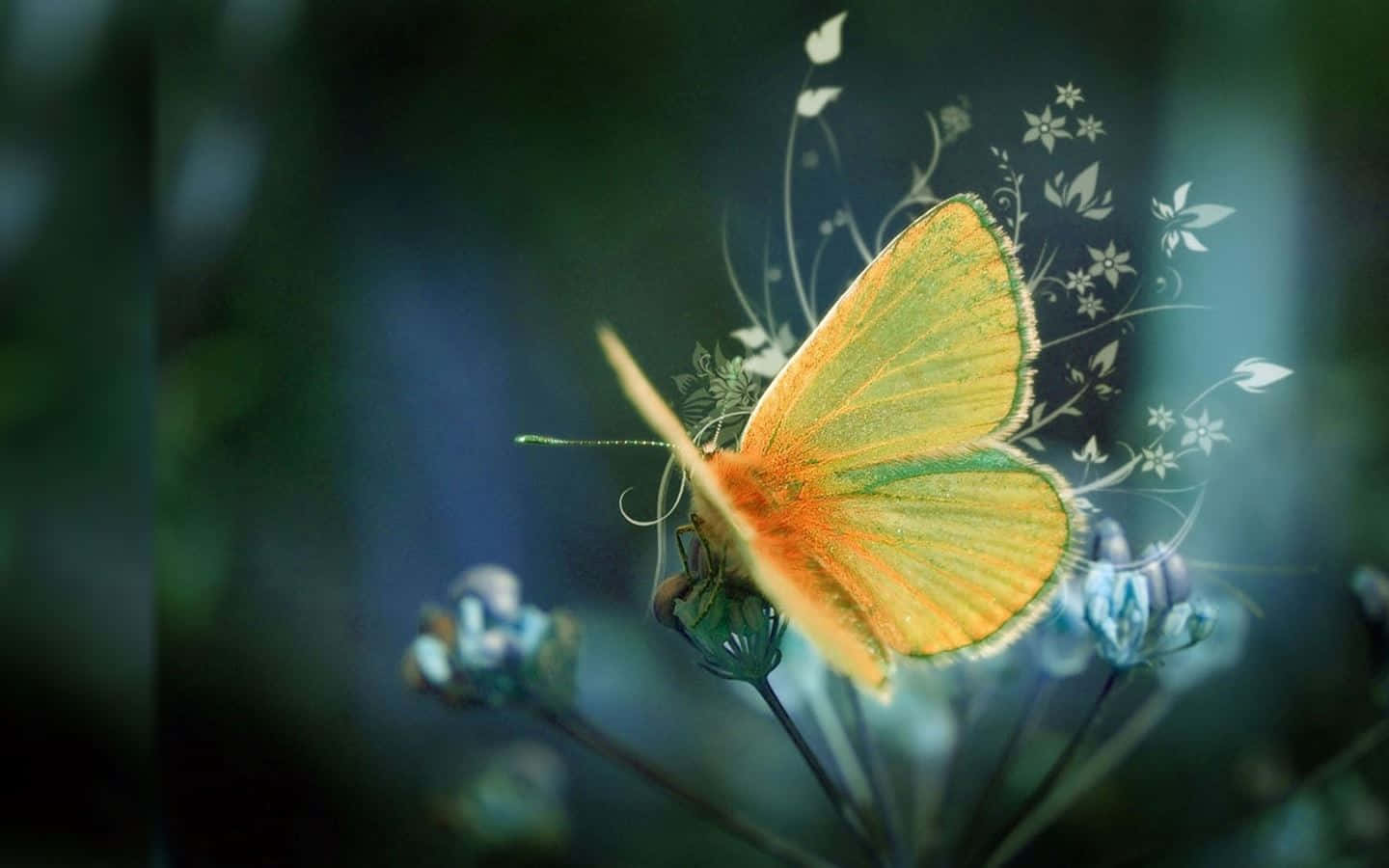 “A brilliant yellow butterfly against a pristine white background.” Wallpaper