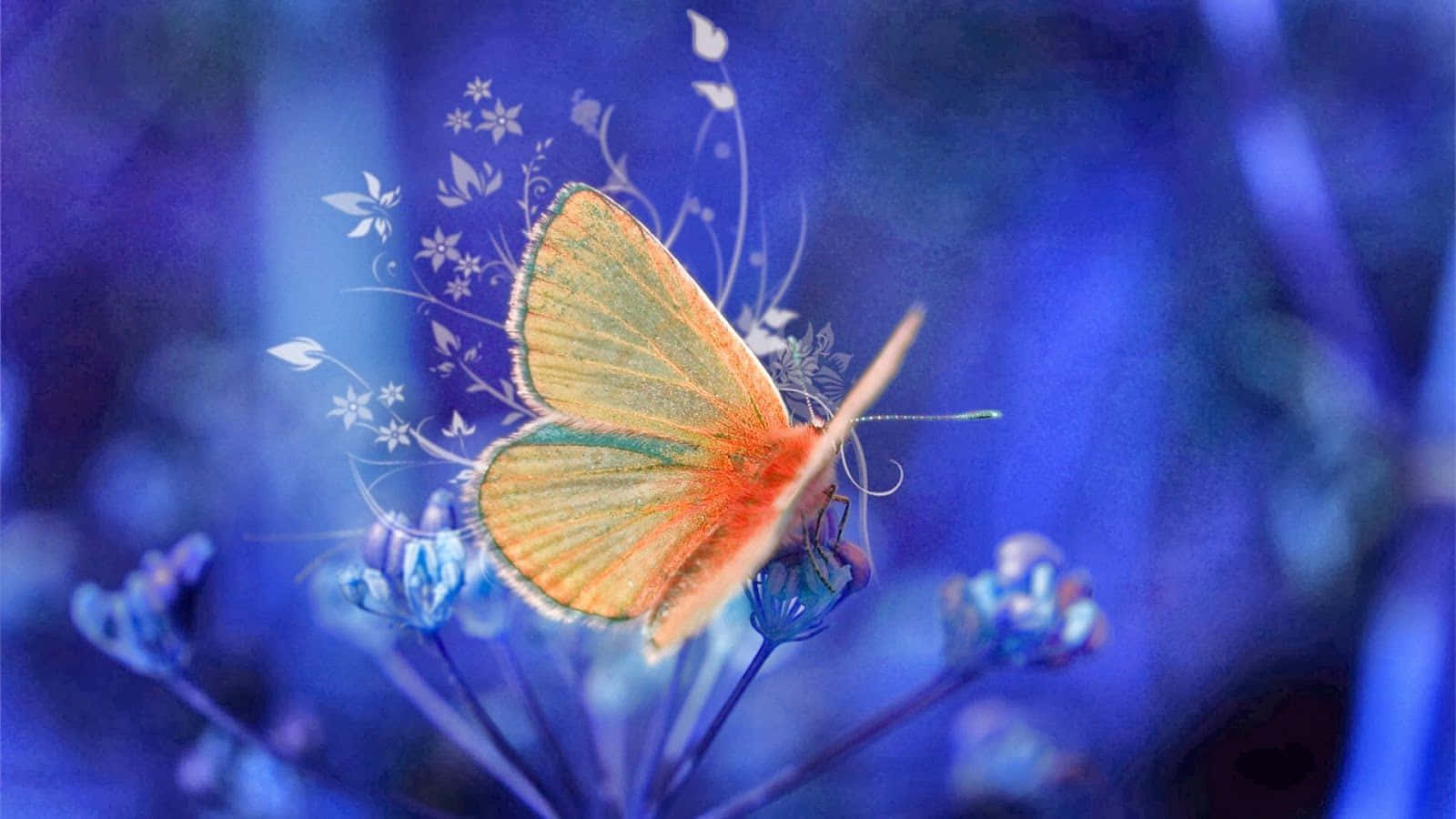 A bright yellow butterfly flying in an outdoor garden Wallpaper