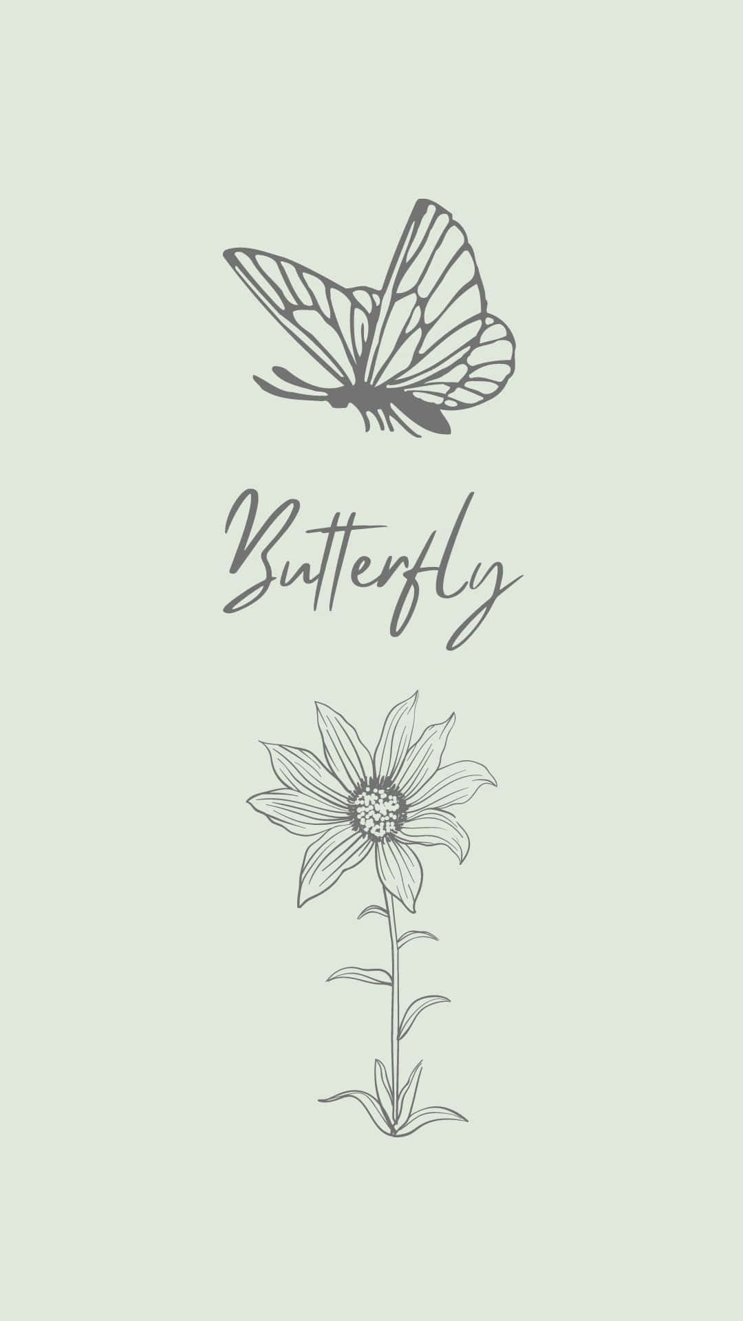 Butterflyand Flower Sketch Wallpaper