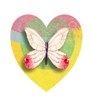 Butterflyon Heart Artwork PNG