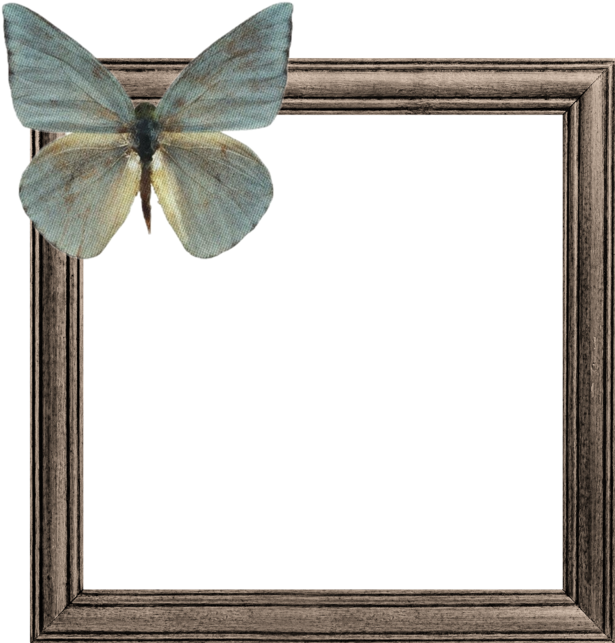 Butterflyon Wooden Frame PNG