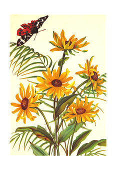 Butterflyon Yellow Flowers Artwork PNG