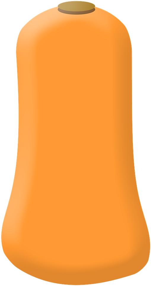 Butternut Squash Vector Illustration PNG