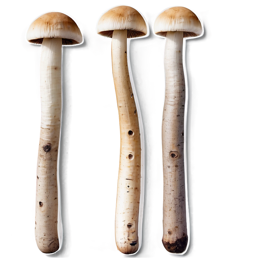 Button Mushrooms Png 05242024 PNG