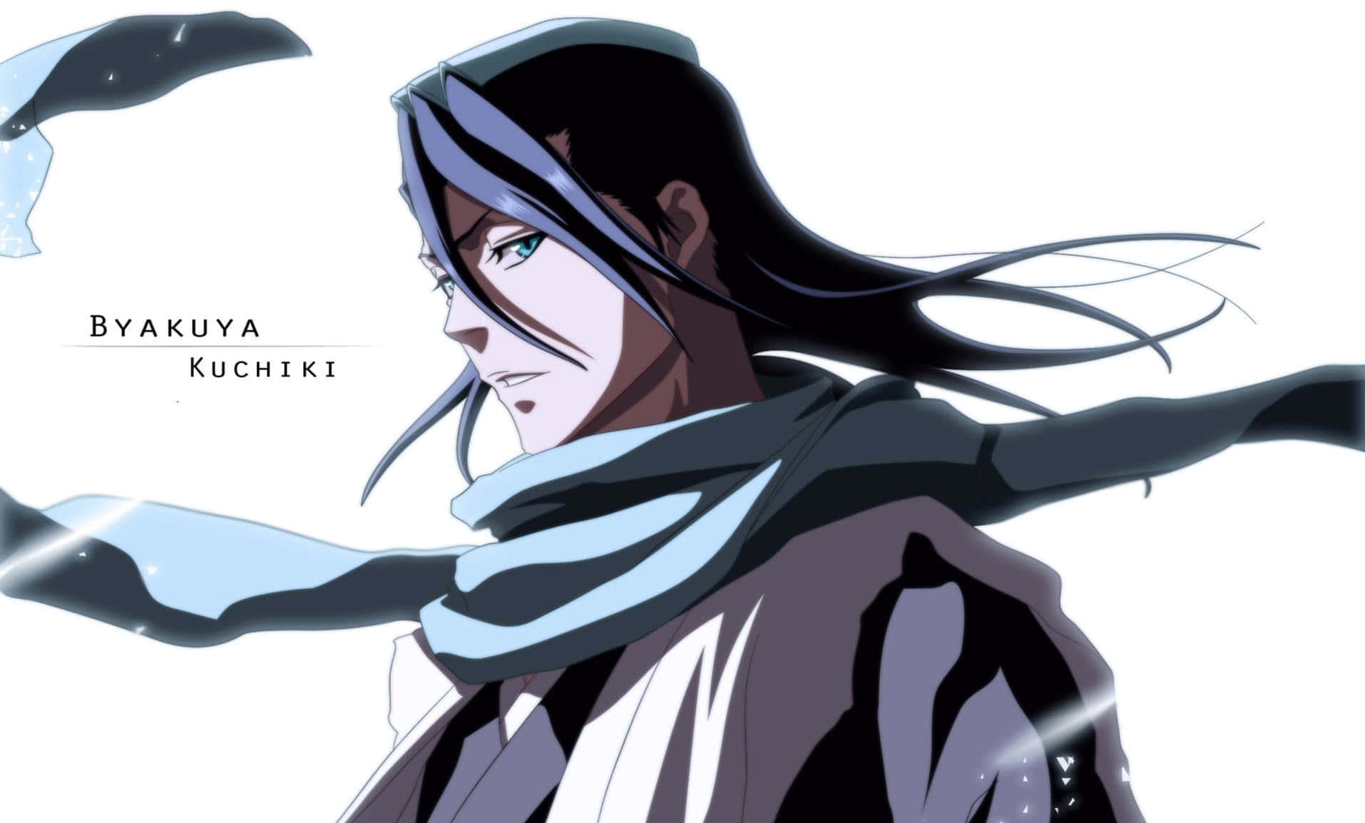 Byakuya Kuchiki, captain of the 6th Division in the Gotei 13 of Bleach Wallpaper