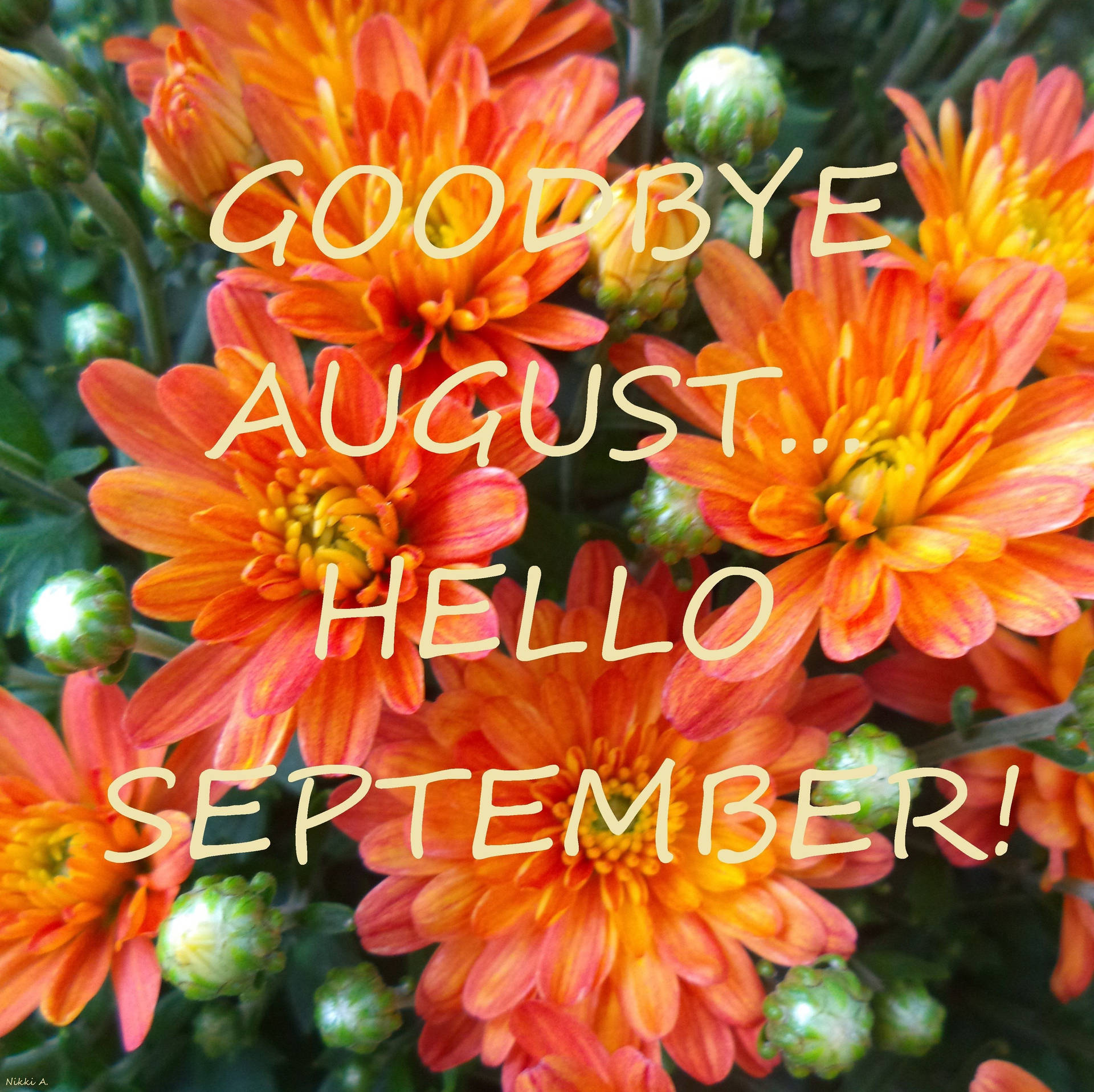 Bye August Hello September