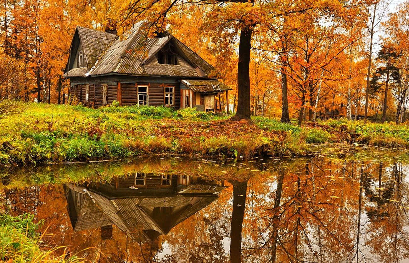 Cabin Autumn By The River Wallpaper
