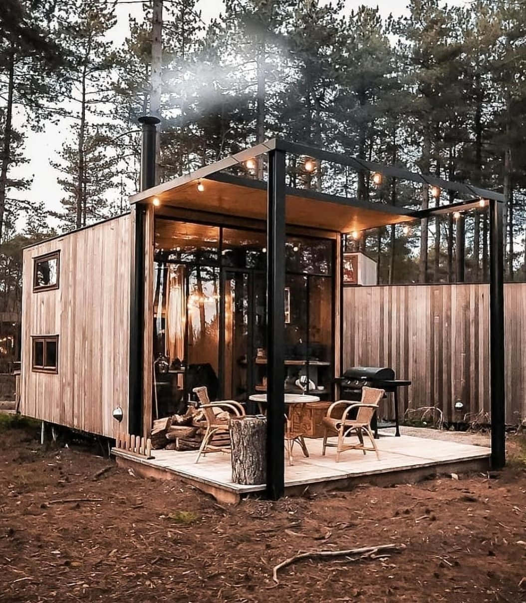 Modern Cabin House Picture